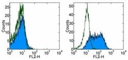 Invitrogen CD109 Monoclonal Antibody (HU17), eBioscience , Invitrogen 2