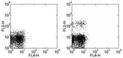 Invitrogen CD193 (CCR3) Monoclonal Antibody (eBio5E8-G9-B4 (5E8-G9-B4)),