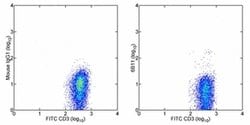 TCR V alpha 24 J alpha 18 Monoclonal Antibody (6B11), eBioscience , Invitrogen:Antibodies:Primary