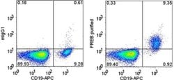 Invitrogen FCRLA (FREB) Monoclonal Antibody (N28.1), eBioscience:Antibodies:Primary