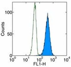 Invitrogen Cytochrome C Monoclonal Antibody (6H2), eBioscience:Antibodies:Primary