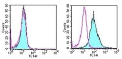 Invitrogen CD266 (TWEAK Receptor) Monoclonal Antibody (ITEM-1), eBioscience