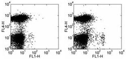 CD11c Monoclonal Antibody (N418), Functional Grade, eBioscience , Invitrogen:Antibodies:Primary