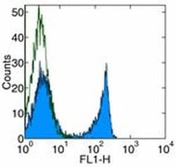 Invitrogen CD90 (Thy-1) Monoclonal Antibody (G7), Functional Grade, eBioscience:Antibodies:Primary