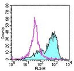 Invitrogen CD273 (B7-DC) Monoclonal Antibody (MIH18), Functional Grade,