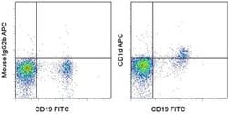 Invitrogen CD1d Monoclonal Antibody (51.1), APC, eBioscience:Antibodies:Primary