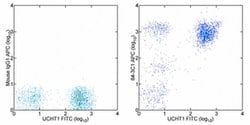 Invitrogen CD43 Monoclonal Antibody (eBio84-3C1 (84-3C1)), APC, eBioscience