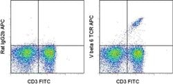 Invitrogen TCR V beta 6 Monoclonal Antibody (RR4-7), APC, eBioscience 100