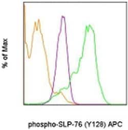 Invitrogen Phospho-SLP-76 (Tyr128) Monoclonal Antibody (HNDZ55), APC, eBioscience:Antibodies:Primary