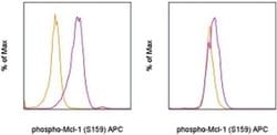 Invitrogen Phospho-MCL-1 (Ser159) Monoclonal Antibody (RBCERNR), APC, eBioscience:Antibodies:Primary
