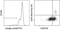 Human Hematopoietic Lineage Antibody Cocktail, FITC, eBioscience , Invitrogen