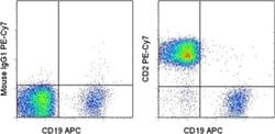 Invitrogen&trade;&nbsp;CD2 Monoclonal Antibody (RPA-2.10), PE-Cyanine7, eBioscience&trade;