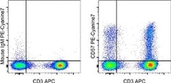 Invitrogen CD57 Monoclonal Antibody (TB01 (TBO1)), PE-Cyanine7, eBioscience:Antibodies:Primary