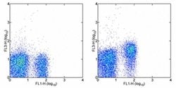 Invitrogen CD127 Monoclonal Antibody (A7R34), PE-Cyanine7, eBioscience