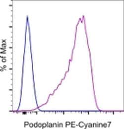Invitrogen Podoplanin Monoclonal Antibody (eBio8.1.1 (8.1.1)), PE-Cyanine7,