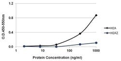 Invitrogen Goat anti-Mouse IgG, IgM (H+L) Secondary Antibody, Biotin 2