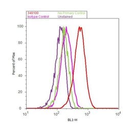 Invitrogen Cdc14A Polyclonal Antibody 100 &mu;g; Unconjugated:Antibodies,