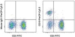 CD19 Monoclonal Antibody (SJ25C1), PerCP-Cyanine5.5, eBioscience , Invitrogen:Antibodies:Primary