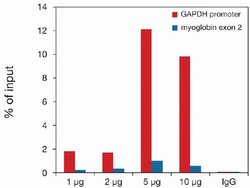 Invitrogen H3K79me3 Polyclonal Antibody 50 &mu;g; Unconjugated:Antibodies,