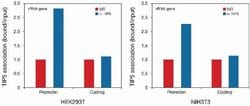Invitrogen BAZ2A Polyclonal Antibody 100 &mu;L; Unconjugated:Antibodies,
