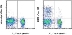 Invitrogen CD57 Monoclonal Antibody (TB01 (TBO1)), eFluor 660, eBioscience