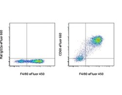 Invitrogen CD68 Monoclonal Antibody (FA-11), eFluor 660, eBioscience:Antibodies:Primary