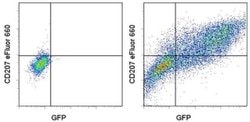 Invitrogen CD207 (Langerin) Monoclonal Antibody (eBioRMUL.2), eFluor 660,