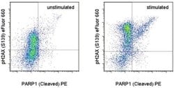 Invitrogen Phospho-Histone H2A.X (Ser139) Monoclonal Antibody (CR55T33),