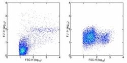 CD107a (LAMP-1) Monoclonal Antibody (eBioH4A3), Alexa Fluor 488, eBioscience