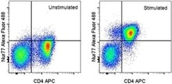 Nur77 Monoclonal Antibody (12.14), Alexa Fluor 488, eBioscience , Invitrogen:Antibodies:Primary