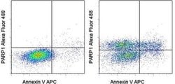 Invitrogen&trade;&nbsp;PARP1 (cleaved Asp214) Monoclonal Antibody (HLNC4), Alexa Fluor&trade; 488, eBioscience&trade;