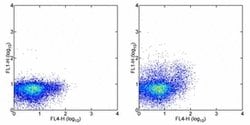 Invitrogen&trade;&nbsp;TNF alpha Monoclonal Antibody (MAb11), Alexa Fluor&trade; 488, eBioscience&trade;