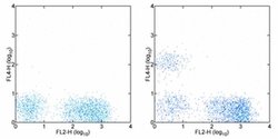Invitrogen CD19 Monoclonal Antibody (HIB19), Alexa Fluor 700, eBioscience:Antibodies:Primary