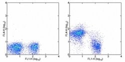 Invitrogen&trade;&nbsp;CD38 Monoclonal Antibody (90), Alexa Fluor&trade; 700, eBioscience&trade;