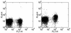 CD197 (CCR7) Monoclonal Antibody (4B12), Alexa Fluor&trade; 700, eBioscience&trade;, Invitrogen&trade;