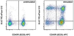 Invitrogen Ki-67 Monoclonal Antibody (SolA15), PE-eFluor 610, eBioscience:Antibodies:Primary