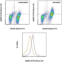Invitrogen Phospho-ERK1/2 (Thr202, Tyr204) Monoclonal Antibody (MILAN8R),