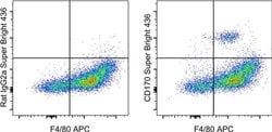 Invitrogen CD170 (Siglec F) Monoclonal Antibody (1RNM44N), Super Bright