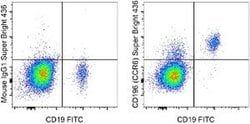 Invitrogen CD196 (CCR6) Monoclonal Antibody (R6H1), Super Bright 436, eBioscience