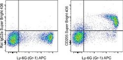 CD205 Monoclonal Antibody (205yekta), Super Bright 436, eBioscience , Invitrogen:Antibodies:Primary