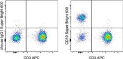 Invitrogen CD19 Monoclonal Antibody (SJ25C1), Super Bright 600, eBioscience