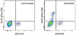 Invitrogen Ki-67 Monoclonal Antibody (20Raj1), eFluor 506, eBioscience