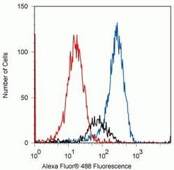 Invitrogen Phospho-JNK1/JNK2 (Thr183, Tyr185) Recombinant Rabbit Monoclonal