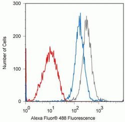 Invitrogen Phospho-PKC theta (Thr538) Recombinant Rabbit Monoclonal Antibody