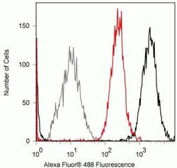 Invitrogen STAT4 Recombinant Rabbit Monoclonal Antibody (2H9L5) 100 &mu;g;