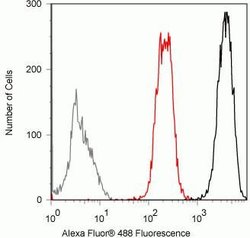 Invitrogen SUMO-3 Recombinant Rabbit Monoclonal Antibody (1H9L17) 100 &mu;g;
