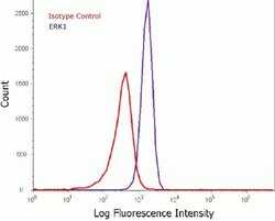 Invitrogen ERK1 Recombinant Rabbit Monoclonal Antibody (3H4L13) 100 μg;