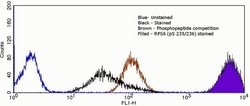 Invitrogen Phospho-S6 (Ser235, Ser236) Recombinant Rabbit Monoclonal Antibody