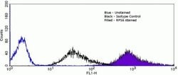 Invitrogen S6 Recombinant Rabbit Monoclonal Antibody (9H8L2) 100 &mu;g;