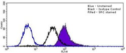 Invitrogen SRC Recombinant Rabbit Monoclonal Antibody (14H2L20) 100 &mu;g;